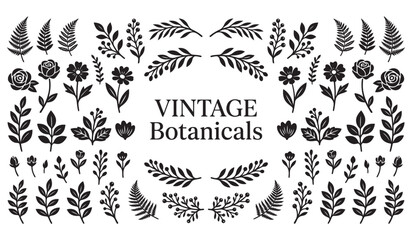 Obraz premium Vintage Botanicals Black and White Vector Illustration Collection Isolated on White