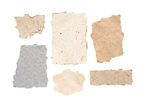 Collection of six distinct torn paper pieces with various textures and natural colors, on transparent background.