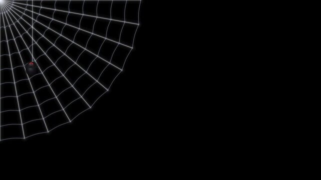Halloween corner spiderweb top left spider descending animation with transparent background