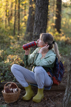 Calm woman rehydrating after gathering mushroom in woodland. Tired female forager recovering energy, harvest relax in nature, resting on forest trail, drink tea from insulated bottle. Hydration break.
