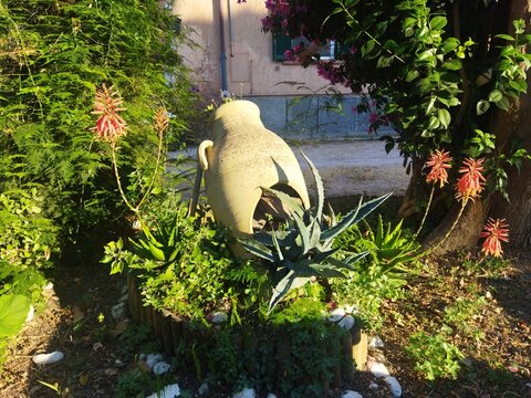 Tinaja de terracota decorativa rodeada de plantas de aloe vera en flor y vegetaci&oacute;n en un jard&iacute;n al atardecer, Toscana, Italia.