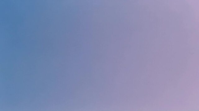 Minimalist Soft Blue to Light Purple Pastel Gradient Background with Subtle Film Grain Loop Animation