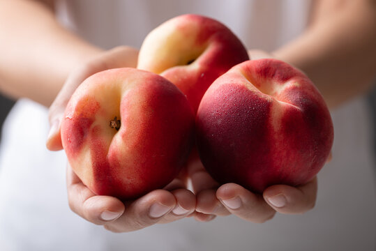 Close-up of fresh white peaches holding by woman hand, Summer fruit