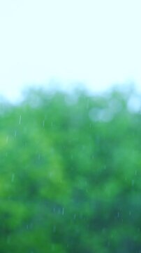 Raing on soft focus blurred background featuring lush green foliage with a dreamy bokeh effect, creating a serene tranquil atmosphere nature-themed projects