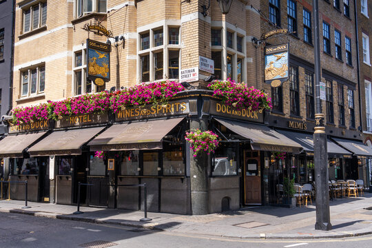 Historic Dog and Duck pub exterior with hanging flower baskets in Soho, London