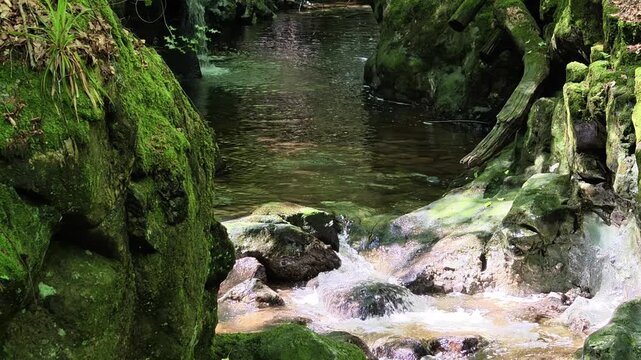 Ireland Epic locations shadow and light mountain stream in George Mahon River Waterford