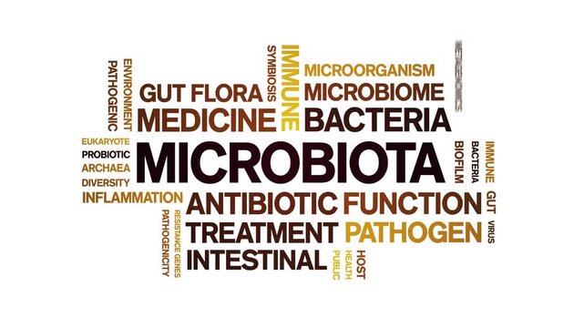 Microbiota animated word cloud-text design animation tag kinetic typography seamless loop.