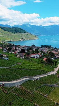 Vertical, aerial: Cully cityscape, Lavaux terraced vineyards and Lake Geneva during the day in Cully, canton of Vaud, Switzerland, push in drone shot