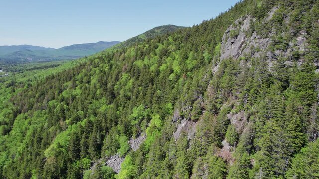 A stunning cinematic aerial shot flying over steep rocky cliffs and dense pine forests in the White Mountains. Captures the vast summer landscape and ecofriendly natural beauty.
