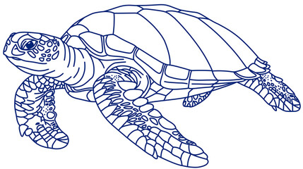 Line sketch illustration of a sea turtle swimming freely © SasubuArt