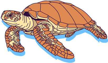 Illustration of a sea turtle swimming freely with its flippers © SasubuArt