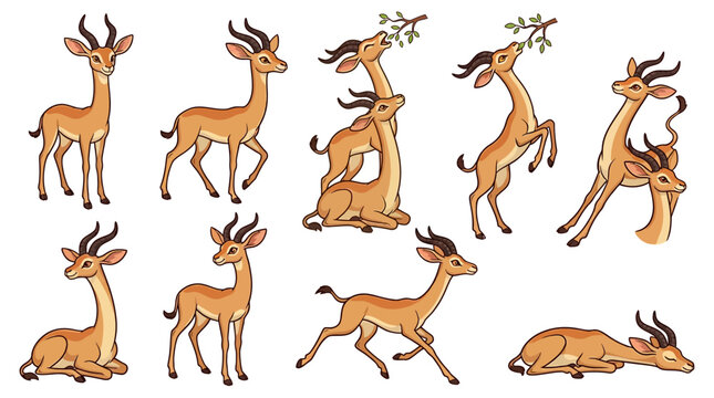 Coati character sheet poses various animals in playful natural setting 2024