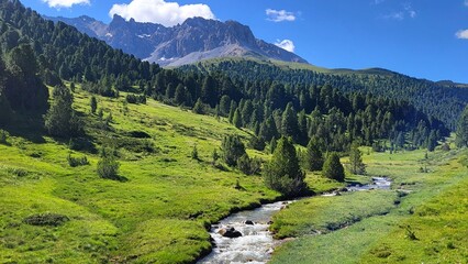 Beautiful alpine landscape in S-charl, Engadine, Switzerland, featuring an idyllic mountain stream flowing through lush green meadows, surrounded by Swiss stone pine forests and majestic mountains. © Sibylle