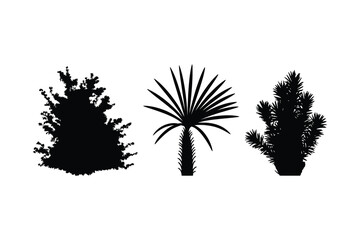Various tree silhouettes, coniferous and deciduous, for landscape and design projects. © MOSTLAKI