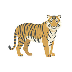Obraz premium Tiger standing in alert posture strong.