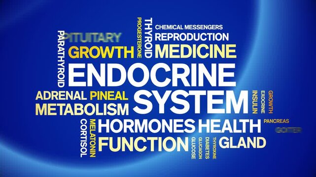 Endocrine System animated word cloud-animation tag kinetic typography seamless loop.