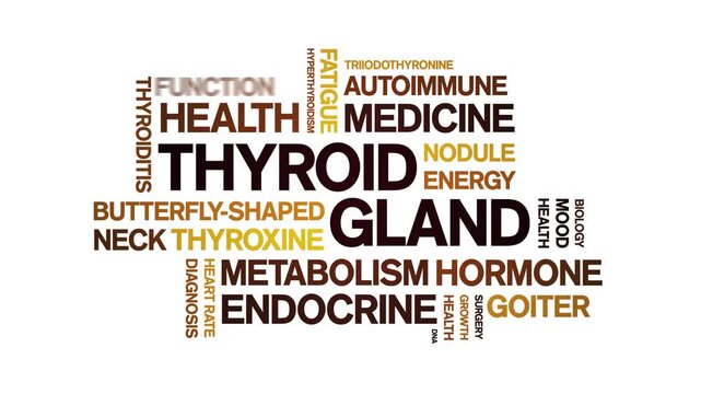 Thyroid Gland animated word cloud-animation tag kinetic typography seamless loop.