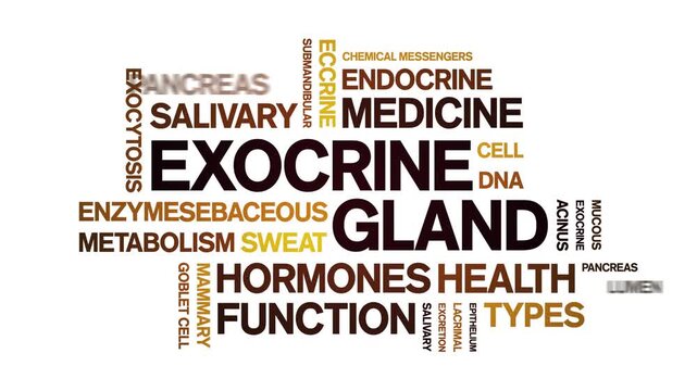 Exocrine Gland animated word cloud-animation tag kinetic typography seamless loop.