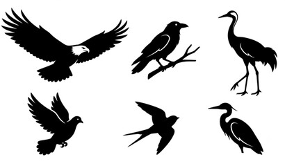 Fototapeta premium Minimal Black Bird Silhouette Vector Pack with Six Wildlife Bird Poses on White Background