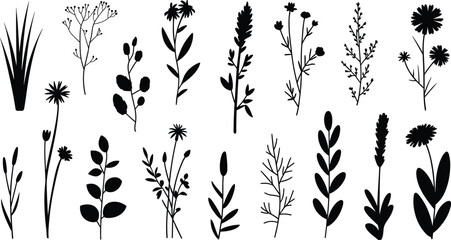 Wildflower, Grass, and Leaf Silhouette Vector Collection with Minimalist Botanical, Nature, and Garden Icons for Herbal Design Projects © Art by Chandon