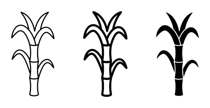 Sugarcane Plant Vector Icons, Simple Outline and Silhouette Styles, Agricultural Crop Illustrations for Food and Industry