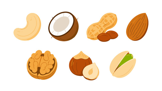 Cartoon vector set of assorted nuts isolated on white