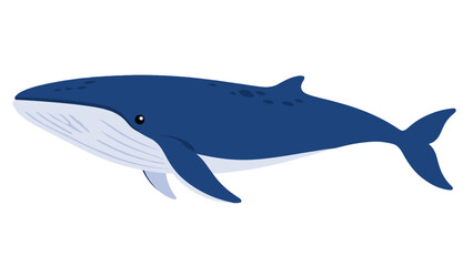 Blue whale vector illustration isolated on white background © icon_art