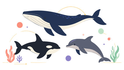 Fototapeta premium Blue whale, orca and dolphin in ocean vector illustration