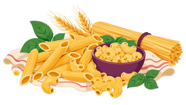 Pasta assortment with penne macaroni and spaghetti vector