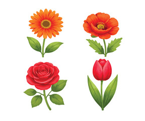 Fototapeta premium Set of Various Colorful Flowers Illustration