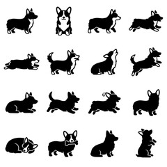 Obraz premium Corgi dog in different poses vector illustration set
