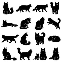 Fototapeta premium Cat silhouettes set various poses vector graphic