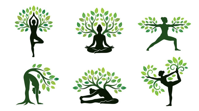 Six yoga pose tree silhouettes.
