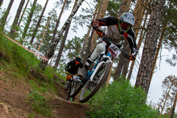 Fototapeta premium Two athletes racer riding downhill on forest trail