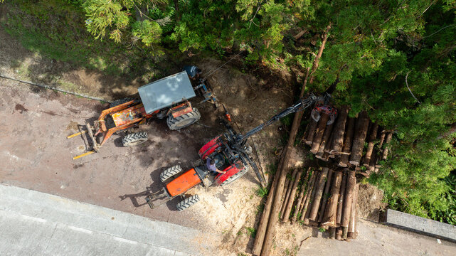 Aerial view of forestry workers using tractors with a grapple loader to move logs near a forest edge in Sete Cidades, Azores, Portugal.