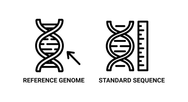 Reference genome and standard sequence comparison icons with genetics sequence research scientific molecular chromosome structure biotechnology bioinformatics analysis genomics