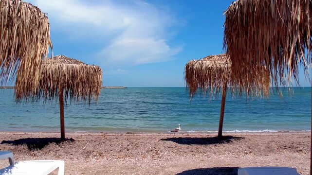 Thatched straw beach umbrellas framing a beautiful view of the calm blue sea on a sunny summer day. Slow motion video of beach umbrellas framing the calm turquoise ocean on a sunny summer day.