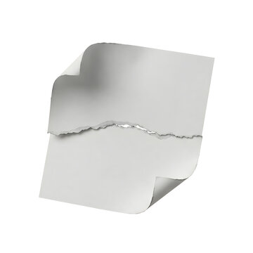 Torn white paper sheet with curled corners