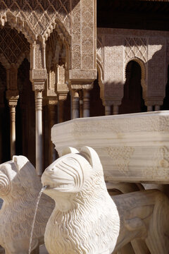Granada (Spain). Detail of one of the marble lions the Fuente de los Leones inside the Patio de los Leones of the Nasrid Palaces of the Alhambra in Granada