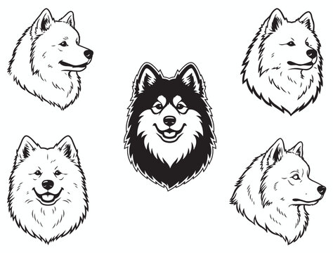 SAMOYED DOG HEAD SILHOUETTE.