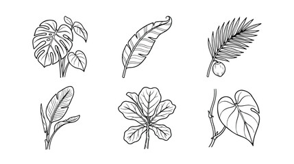 Minimalist tropical leaf line art collection, set of 6 hand drawn botanical vector icons, black and white monstera and palm foliage illustrations © Shahnaz akhtar