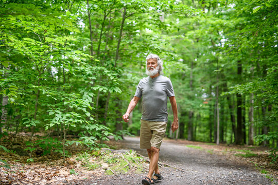 Senior man walk in the forest on a summer day