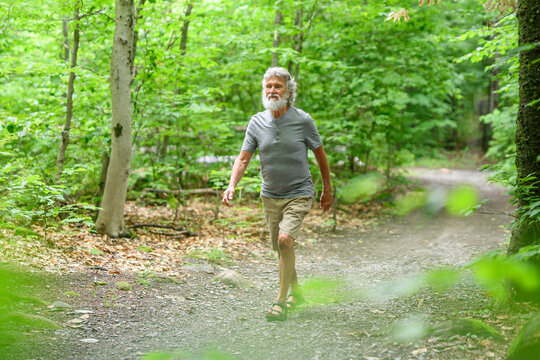 Senior man walk in the forest on a summer day
