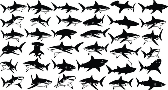 shark silhouette set, cartoon style, black sea animal icons, hammerhead graphics, great white poses, ocean predator bundle