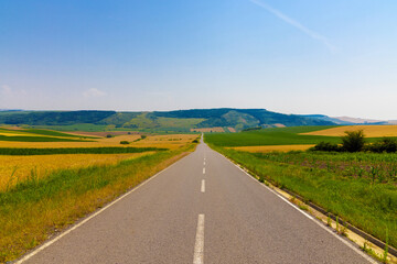 Naklejka premium A straight asphalt country road passing through agricultural fields and rolling hills. An asphalt road extending straight into a rural landscape under a clear blue sky