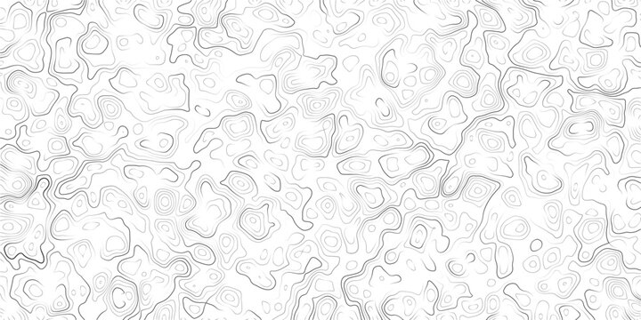 Gray and white abstract topographic map design with wavy lines and shapes pattern