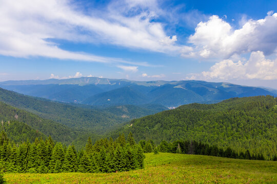 Panoramic view of the Carpathian Mountains in Romania, with expansive forested mountains and vibrant green landscapes