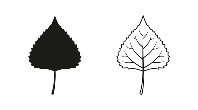 Aspen leaf vector icons set, black silhouette and line art birch leaf illustrations, botanical foliage elements for nature branding and logo design