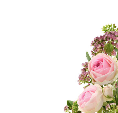Small pink rose flowers and hylotelephium telephium in a corner arrangement isolated on white or transparent background