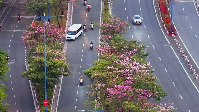 Beautiful view of Vo Van Kiet Boulevard in Ho Chi Minh City, Vietnam, featuring rows of blooming pink trumpet trees, vibrant urban scenery, flowing traffic, and the harmonious blend of nature